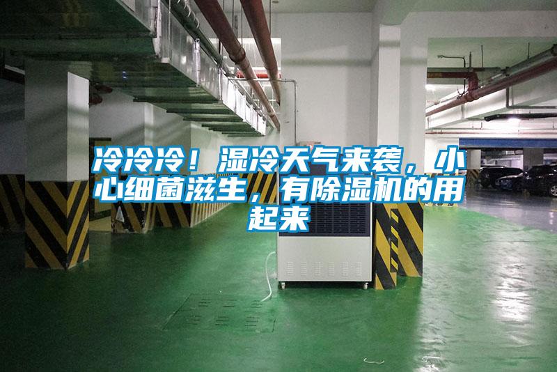 冷冷冷！濕冷天氣來襲，小心細菌滋生，有除濕機的用起來