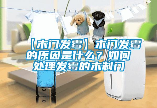 【木門發(fā)霉】木門發(fā)霉的原因是什么？如何處理發(fā)霉的木制門
