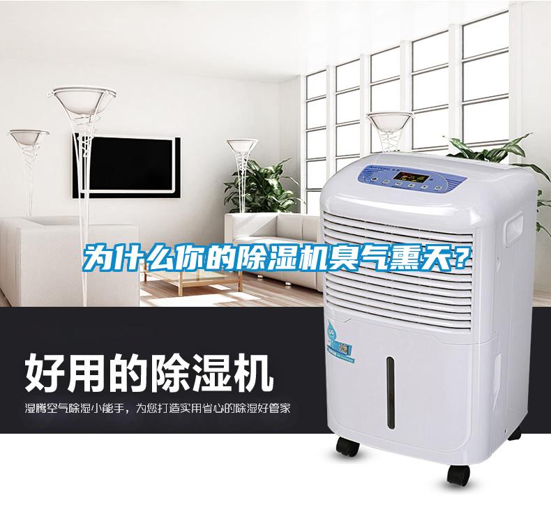 為什么你的除濕機(jī)臭氣熏天？