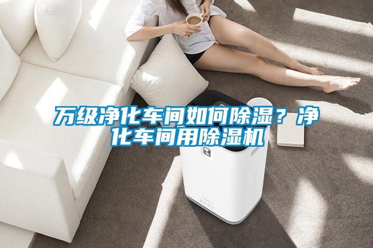萬級凈化車間如何除濕？凈化車間用除濕機(jī)