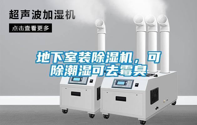 地下室裝除濕機(jī)，可除潮濕可去霉臭