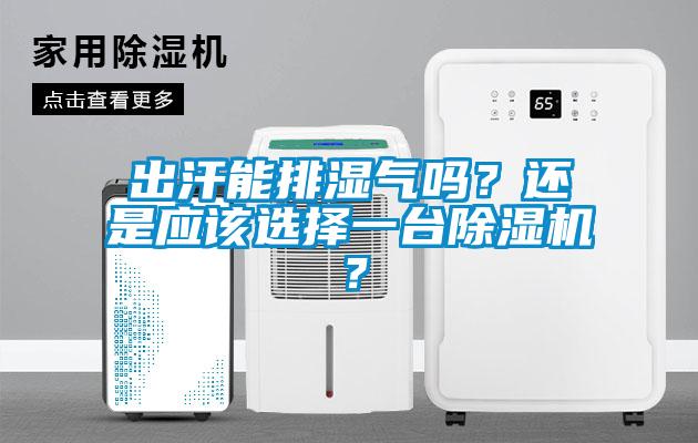 出汗能排濕氣嗎？還是應(yīng)該選擇一臺(tái)除濕機(jī)？