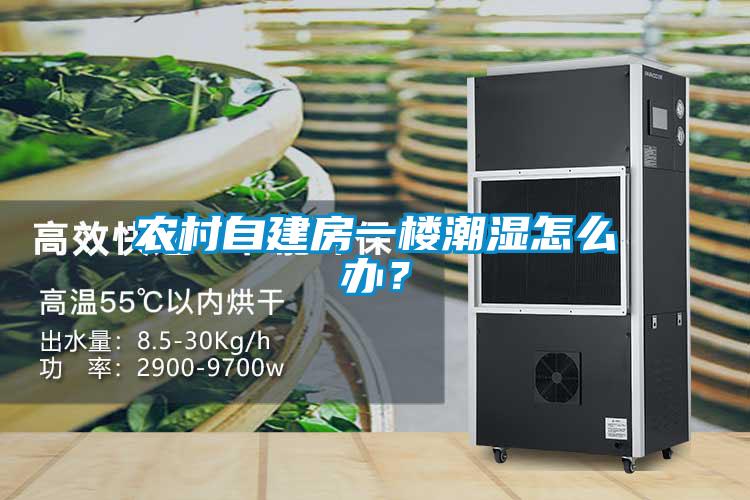 農(nóng)村自建房一樓潮濕怎么辦？