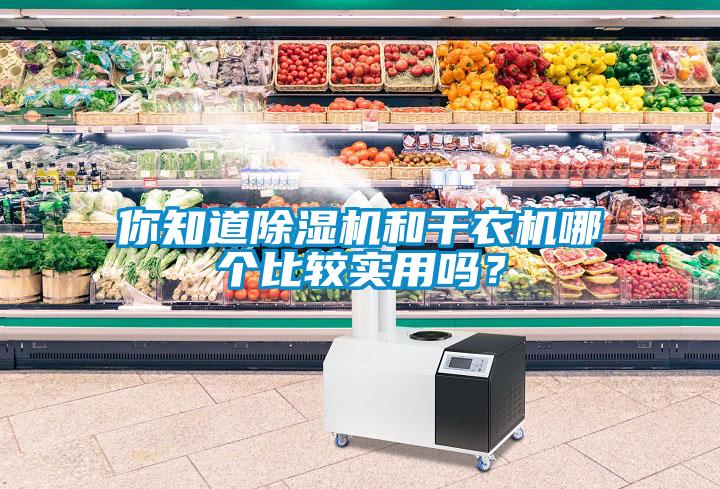 你知道除濕機和干衣機哪個比較實用嗎？