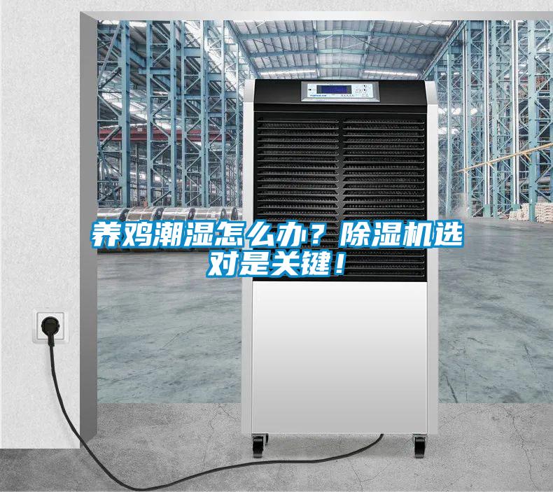 養(yǎng)雞潮濕怎么辦？除濕機(jī)選對是關(guān)鍵！