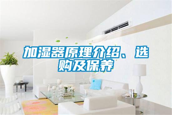 加濕器原理介紹、選購(gòu)及保養(yǎng)