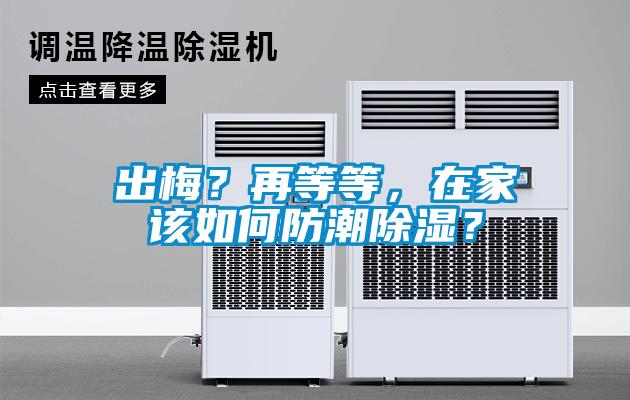 出梅？再等等，在家該如何防潮除濕？