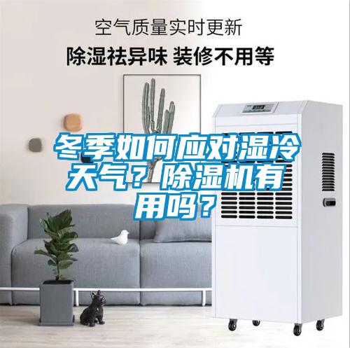 冬季如何應(yīng)對(duì)濕冷天氣？除濕機(jī)有用嗎？