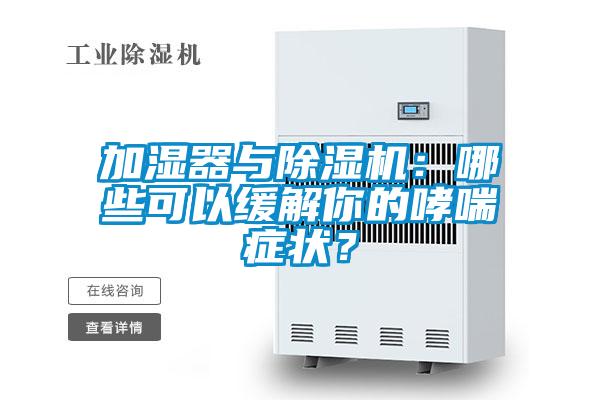 加濕器與除濕機：哪些可以緩解你的哮喘癥狀？