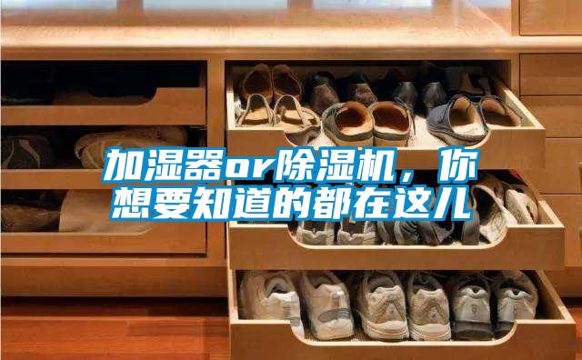 加濕器or除濕機(jī)，你想要知道的都在這兒