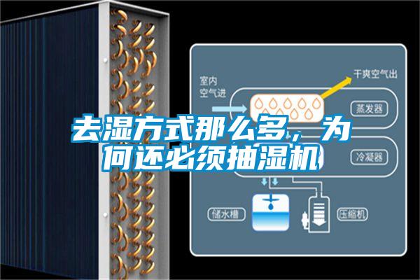 去濕方式那么多，為何還必須抽濕機(jī)