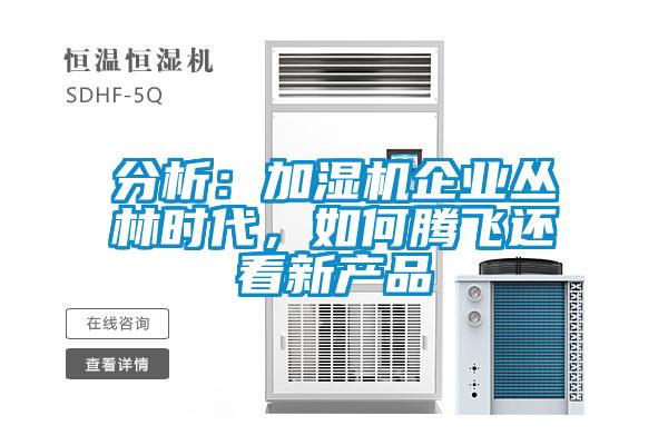 分析：加濕機(jī)企業(yè)叢林時(shí)代，如何騰飛還看新產(chǎn)品