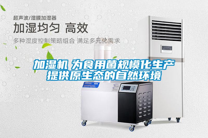 加濕機　為食用菌規(guī)?；a提供原生態(tài)的自然環(huán)境