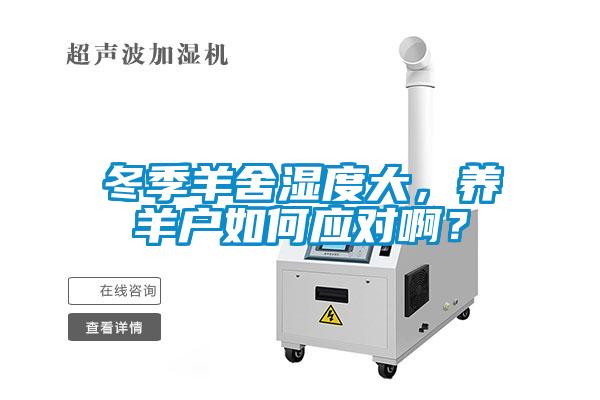 冬季羊舍濕度大，養(yǎng)羊戶如何應(yīng)對(duì)??？