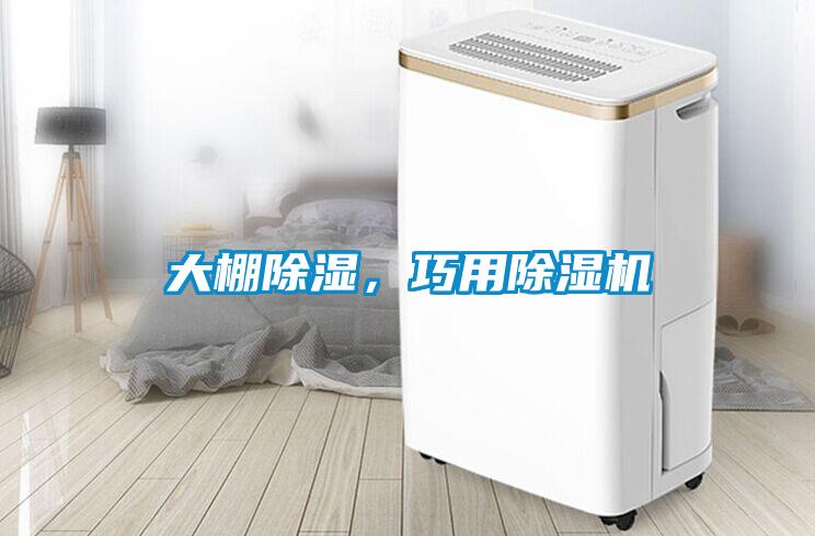 大棚除濕，巧用除濕機(jī)