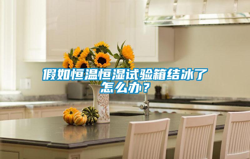 假如恒溫恒濕試驗箱結(jié)冰了怎么辦？