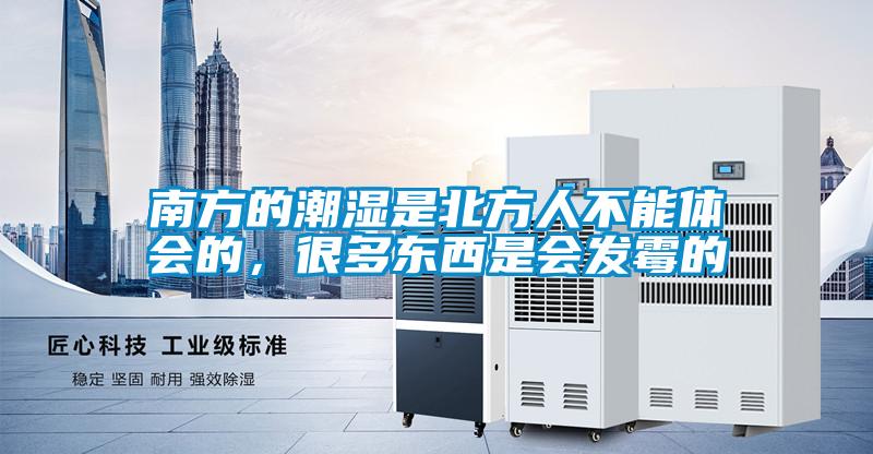 南方的潮濕是北方人不能體會的，很多東西是會發(fā)霉的