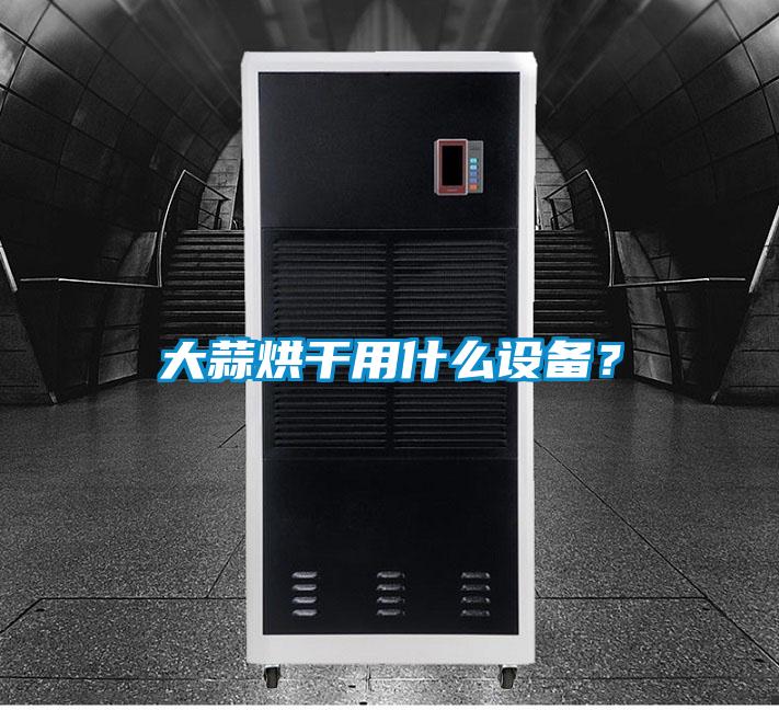 大蒜烘干用什么設(shè)備？