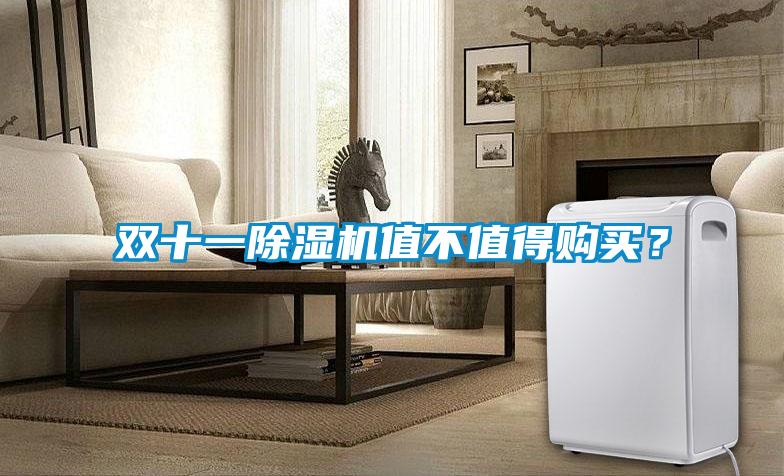 雙十一除濕機(jī)值不值得購買？