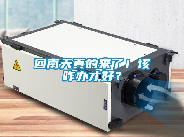 回南天真的來了！該咋辦才好？