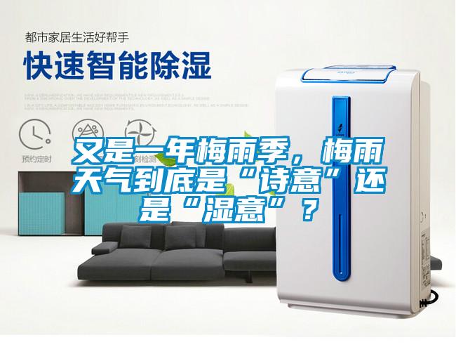 又是一年梅雨季，梅雨天氣到底是“詩意”還是“濕意”？