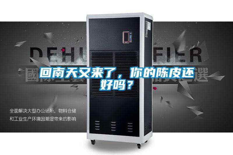回南天又來了，你的陳皮還好嗎？