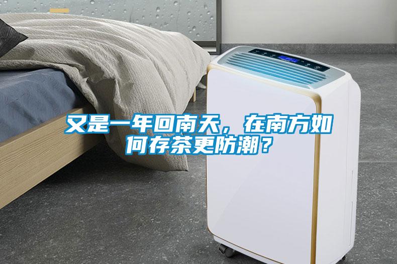 又是一年回南天，在南方如何存茶更防潮？