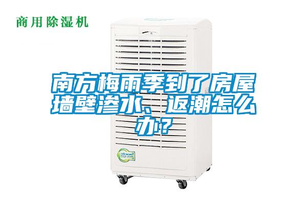 南方梅雨季到了房屋墻壁滲水、返潮怎么辦？