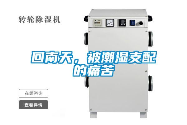 回南天，被潮濕支配的痛苦