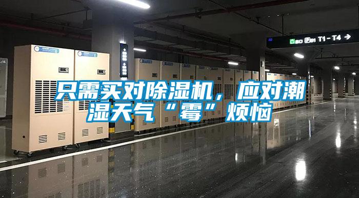 只需買對(duì)除濕機(jī)，應(yīng)對(duì)潮濕天氣“霉”煩惱