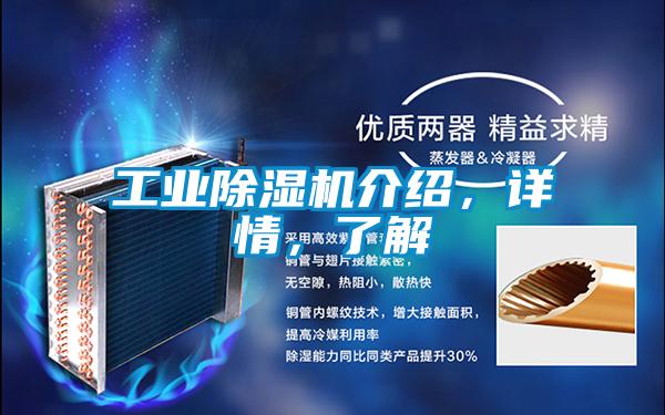 工業(yè)除濕機(jī)介紹，詳情，了解