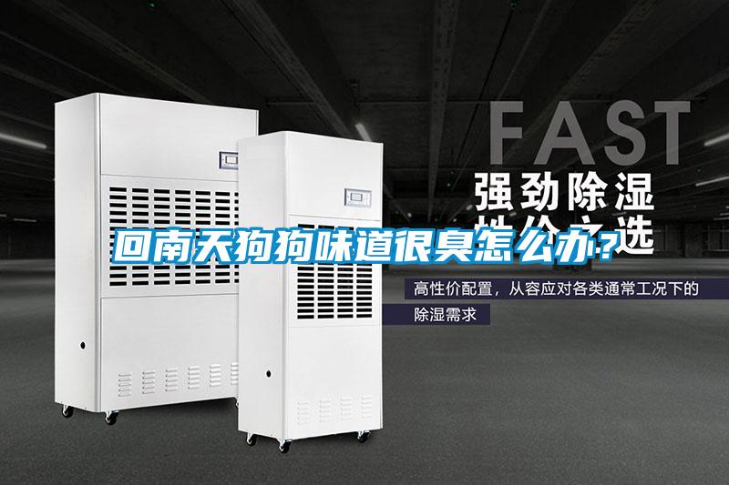回南天狗狗味道很臭怎么辦？