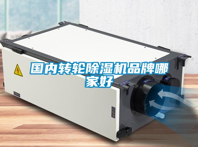 國內(nèi)轉(zhuǎn)輪除濕機(jī)品牌哪家好
