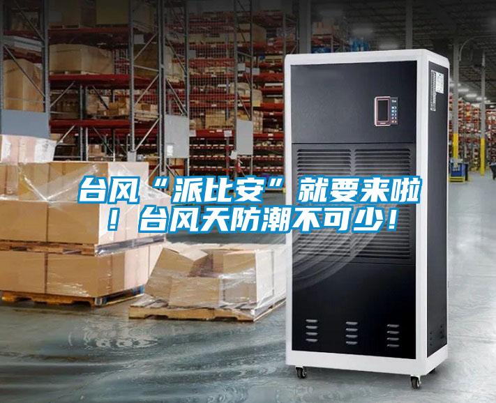 臺風(fēng)“派比安”就要來啦！臺風(fēng)天防潮不可少！