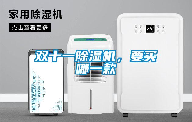 雙十一除濕機(jī)，要買(mǎi)哪一款