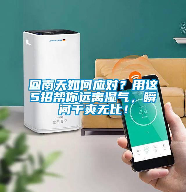 回南天如何應(yīng)對(duì)？用這5招幫你遠(yuǎn)離濕氣，瞬間干爽無比！