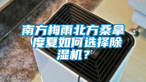 南方梅雨北方桑拿 度夏如何選擇除濕機？