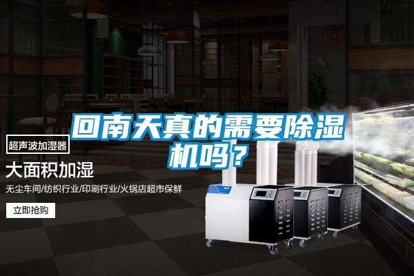 回南天真的需要除濕機嗎？