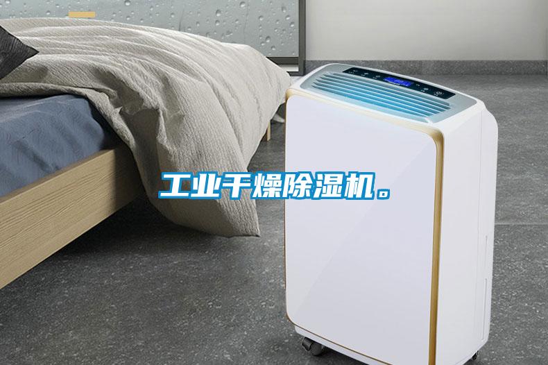 工業(yè)干燥除濕機(jī)。