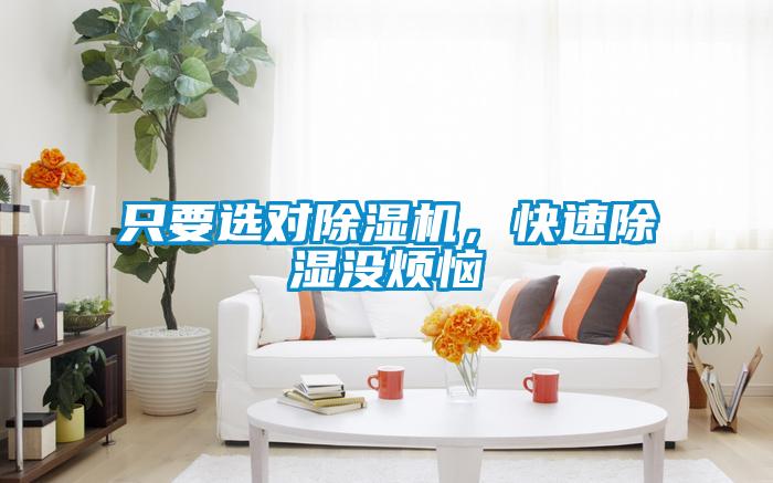 只要選對(duì)除濕機(jī)，快速除濕沒煩惱