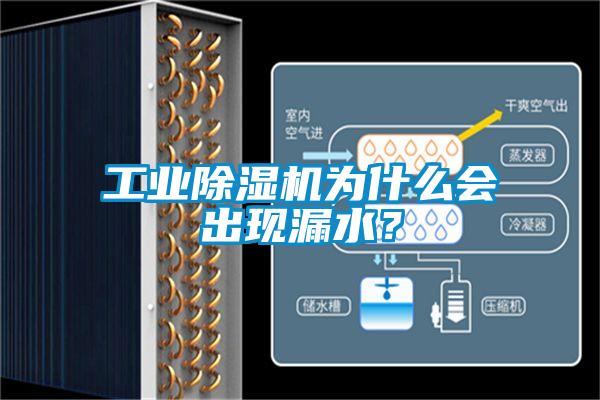 工業(yè)除濕機(jī)為什么會(huì)出現(xiàn)漏水？