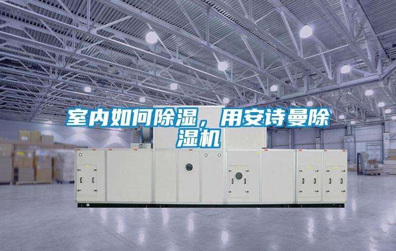 室內(nèi)如何除濕，用安詩(shī)曼除濕機(jī)