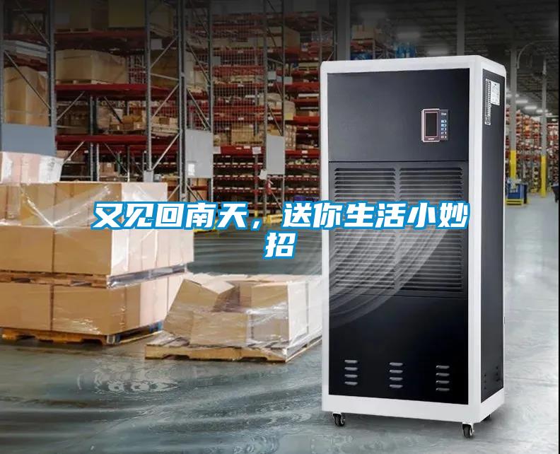 又見(jiàn)回南天，送你生活小妙招