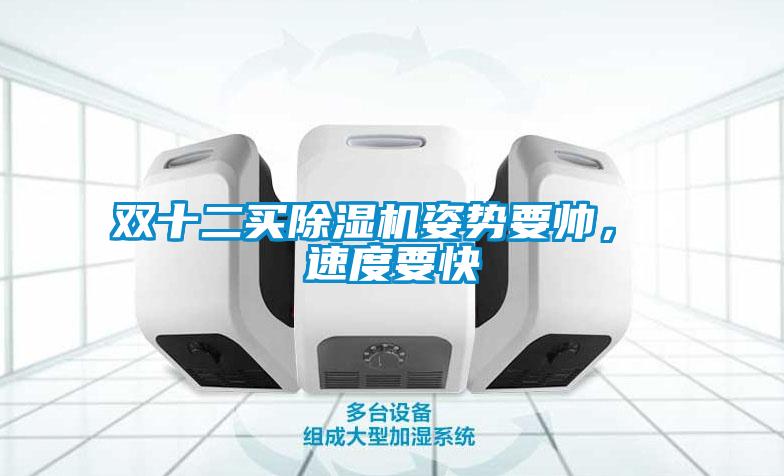 雙十二買除濕機(jī)姿勢要帥， 速度要快