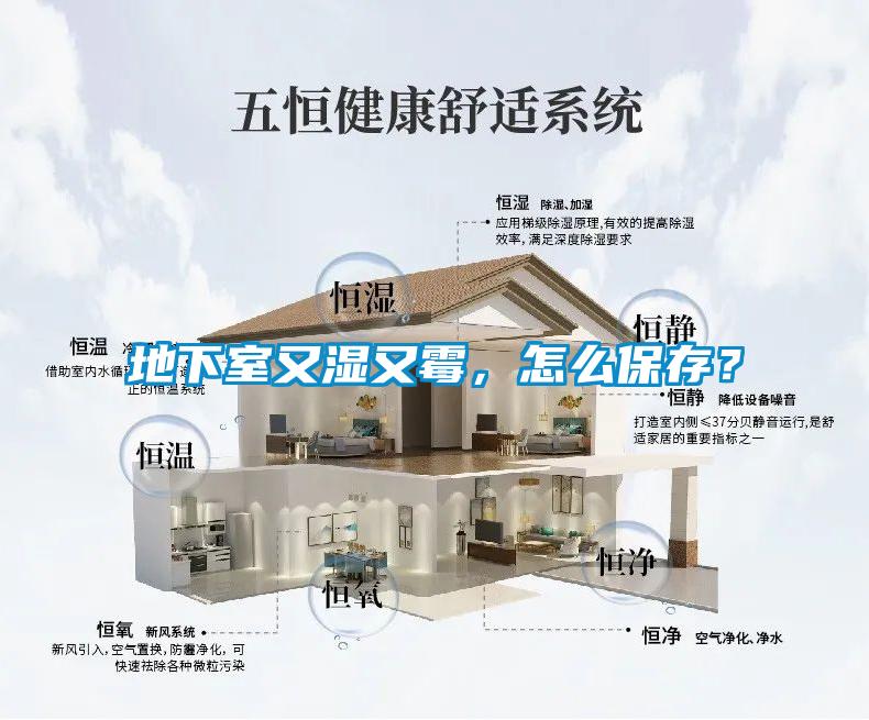 地下室又濕又霉，怎么保存？