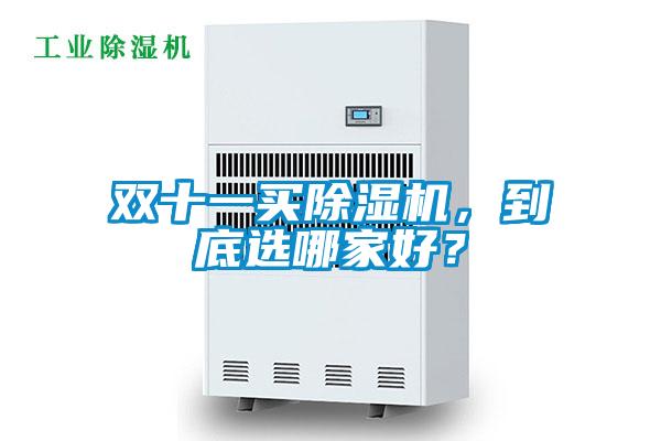雙十一買除濕機，到底選哪家好？