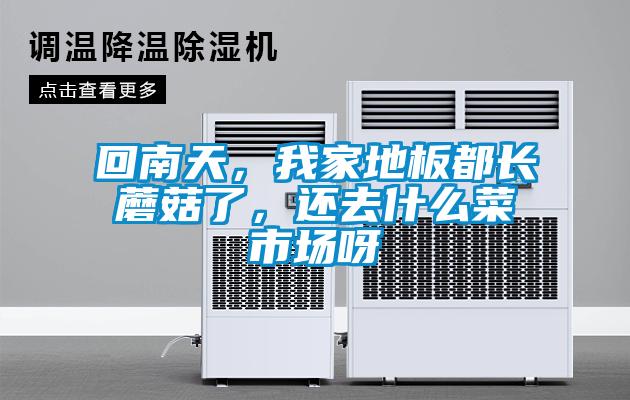 回南天，我家地板都長(zhǎng)蘑菇了，還去什么菜市場(chǎng)呀