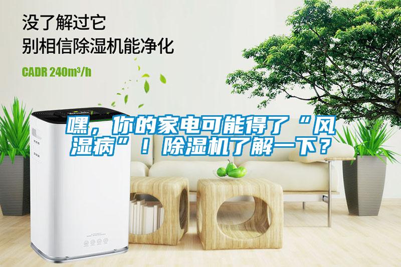 嘿，你的家電可能得了“風濕病”！除濕機了解一下？