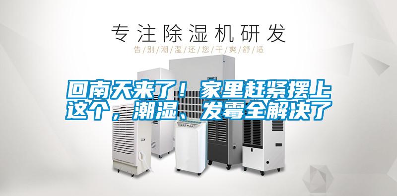 回南天來了！家里趕緊擺上這個，潮濕、發(fā)霉全解決了