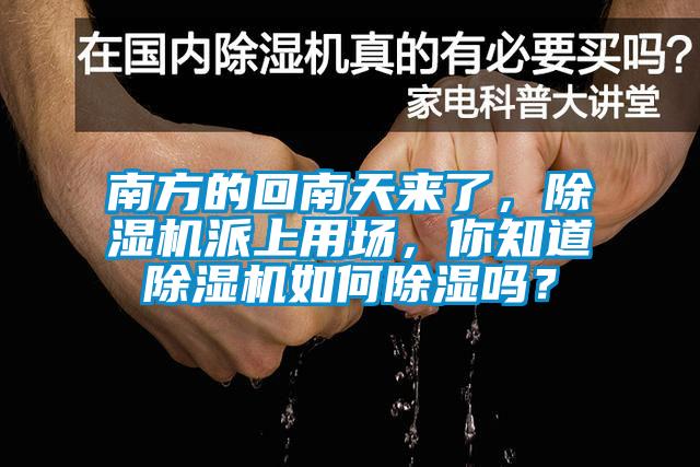 南方的回南天來了，除濕機派上用場，你知道除濕機如何除濕嗎？